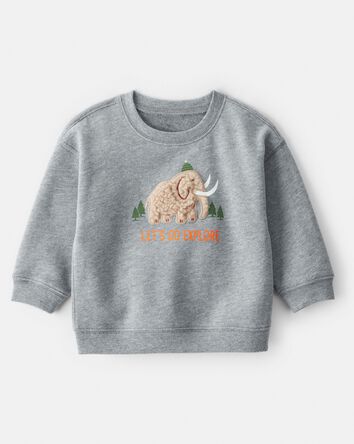 Baby Boy Mammoth Pullover Sweatshirt - Grey, 