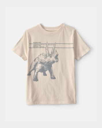 Boys Triceratops Dinosaur Graphic Tee &ndash; Cream, 