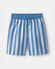 Blue/White