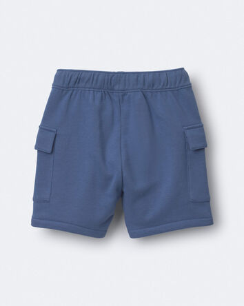 Toddler Boy French Terry Cargo Shorts - Slate Blue, 