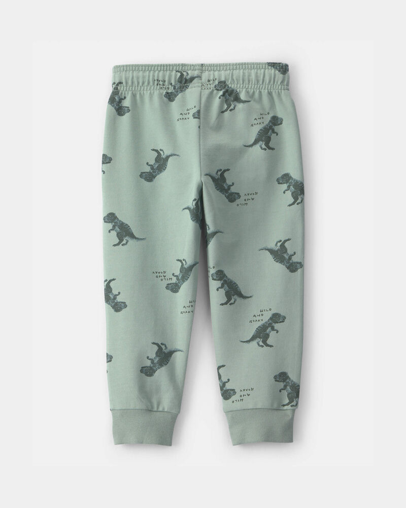 Tout-petit gar&ccedil;on - Pantalon de jogging &agrave; enfiler en jersey bouclette motif dinosaure - Vert, image 2 sur 3 diapositives