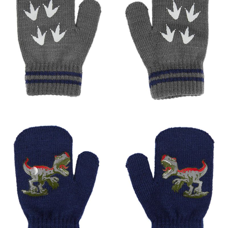 Multi 2Pack Mittens