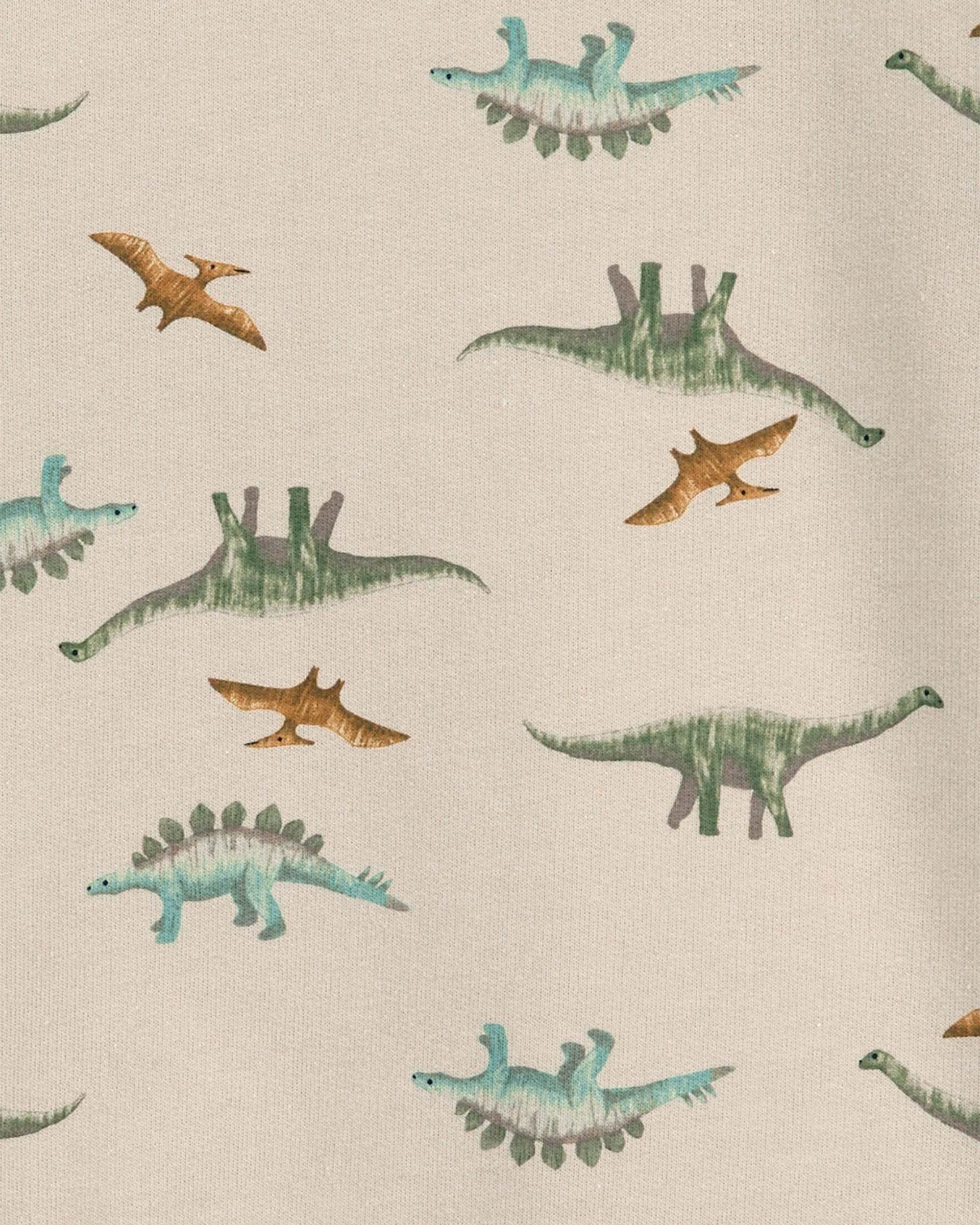 Dinosaur pullover 2025
