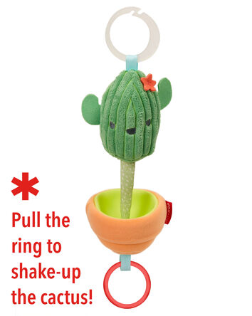 Baby Farmstand Jitter Cactus, 