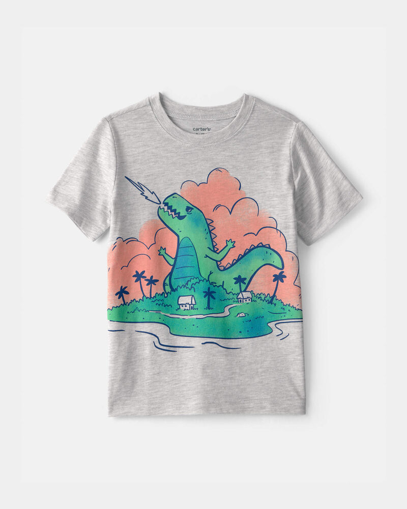 Tout-petit gar&ccedil;on - T-shirt &agrave; imprim&eacute; de dinosaure - Gris, image 1 sur 2 diapositives