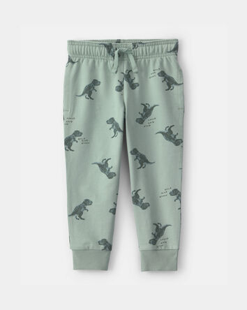 Tout-petit gar&ccedil;on - Pantalon de jogging &agrave; enfiler en jersey bouclette motif dinosaure - Vert, 