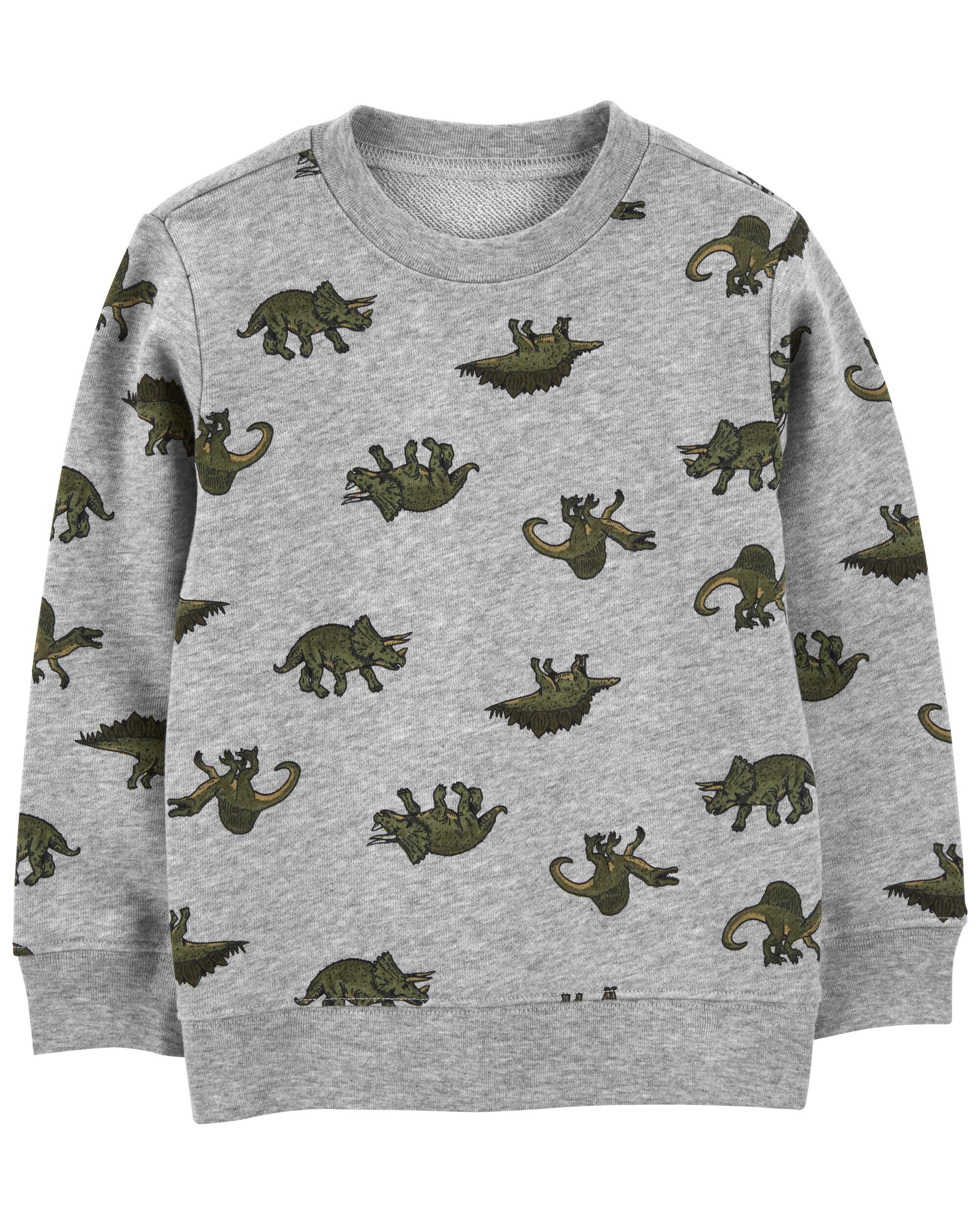 Dinosaur sweater shop for boys