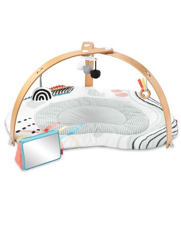 Discoverosity Play Gym, 
