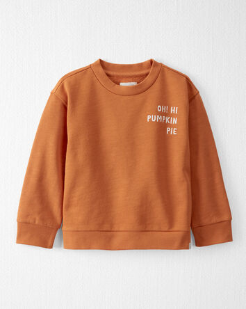 Toddler Organic Cotton Pumpkin Pie Pullover, 