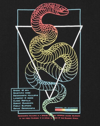 Kid Snake Print Graphic Tee, 