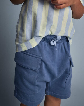 Toddler Boy French Terry Cargo Shorts - Slate Blue, 
