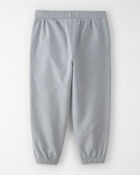 Toddler 2-Pack Organic Cotton Pants, image 5 of 5 slides