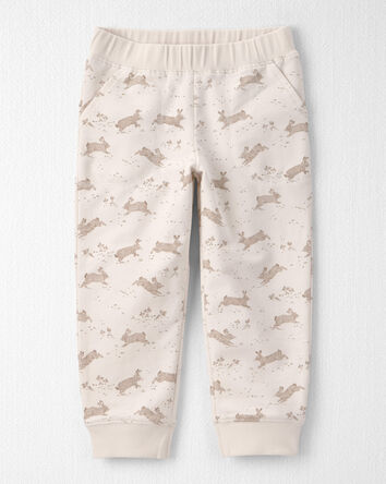 Toddler Organic Cotton Set in Bunny Print, 