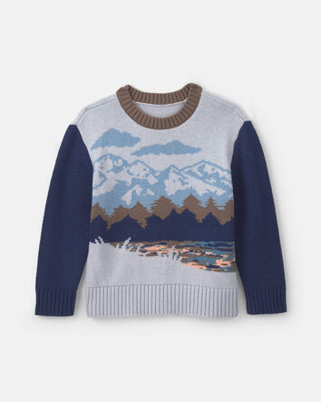 Boys Mountain Long-Sleeve Baggy Sweater - Gray/Navy Blue, 