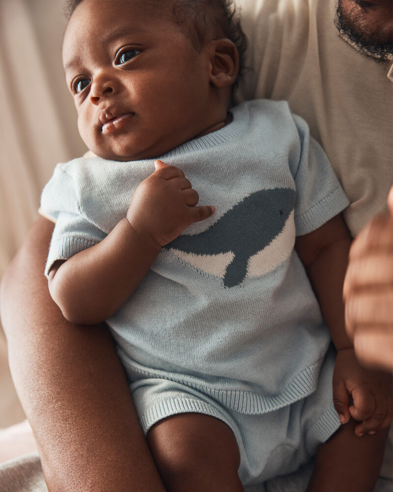 Baby 2-Piece Whale Short-Sleeve Sweater Top & Short Set - Blue, image 2 of 5 slides