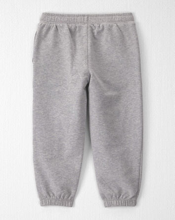 Toddler 2-Pack Organic Cotton French Terry Joggers, 