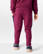 Toddler Pull-On Fleece Pants, image 2 of 6 slides