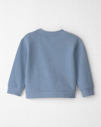 Tout-petit gar&ccedil;on - Chandail en coton biologique &laquo;Big Bro&raquo;, 