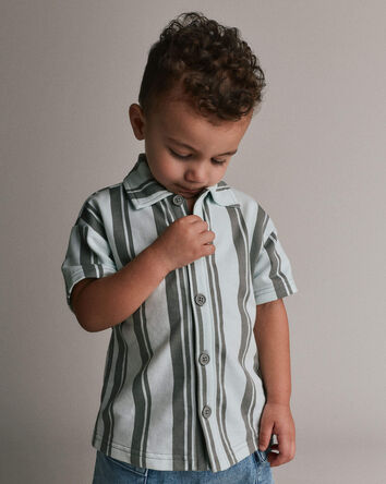 Toddler Boy Button-Down Short-Sleeve Shirt in Stripes - Light Green, 