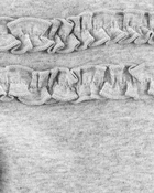 Baby 4-Pack Ruffle-Detail Cotton Pants, image 8 of 9 slides