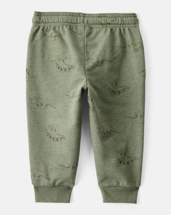 Baby Boy Dinosaur French Terry Jogger - Green, 