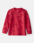 Toddler Boy Mammoth Long-Sleeve Graphic Tee - Red, image 1 of 3 slides