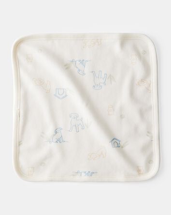 Baby Boy 6-Pack Wash Cloths, 