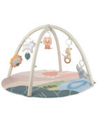 Savannah Sunset Baby Play Gym, image 1 of 6 slides
