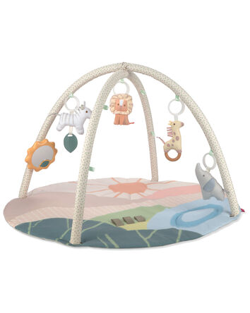 Savannah Sunset Baby Play Gym, 