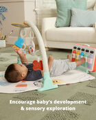 Painted Dreams 4-in-1 Developmental Baby Play Gym, image 2 of 8 slides