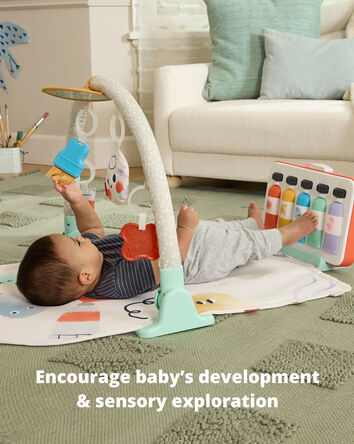 Painted Dreams 4-in-1 Developmental Baby Play Gym, 