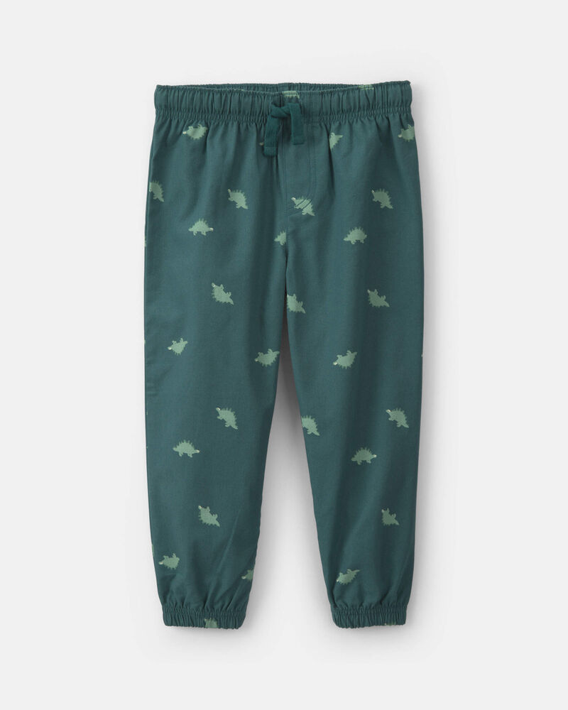 B&eacute;b&eacute; gar&ccedil;on - Ensemble 2 pi&egrave;ces haut et pantalon en jersey bouclette &agrave; motif dinosaure - Gris/Vert, image 2 sur 4 diapositives