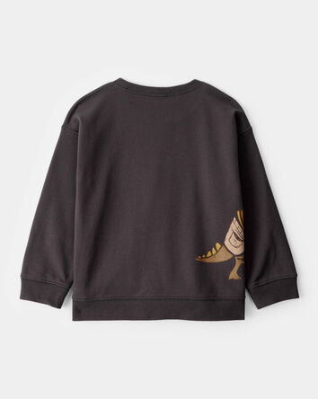 Toddler Halloween Trick or Treat Dinosaur Pullover, 