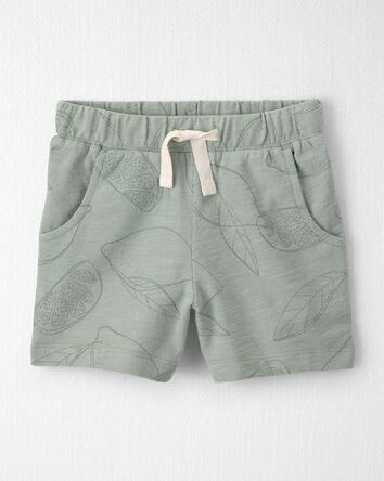 Toddler Boy 2-Piece Shorts Set Made with Organic Cotton in Sienna Breeze, 