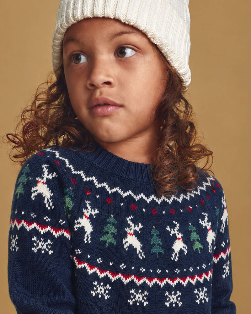 Toddler Organic Cotton Fair Isle Sweater Knit Pullover, image 5 of 6 slides