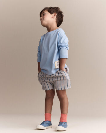 Toddler Boy Playground Shorts in Stripes - Grey, 