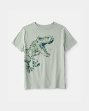 Gar&ccedil;ons - T-shirt &agrave; imprim&eacute; de dinosaure - Vert, 