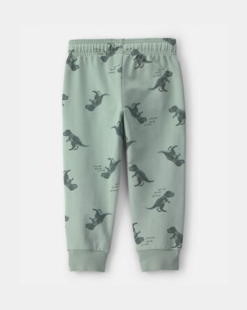 Tout-petit gar&ccedil;on - Pantalon de jogging &agrave; enfiler en jersey bouclette motif dinosaure - Vert, 