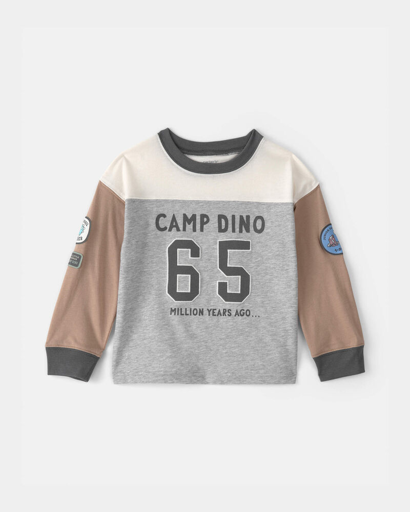 Toddler Boy 'Camp Dino' Long-Sleeve T-Shirt - Brown/Grey, image 1 of 5 slides