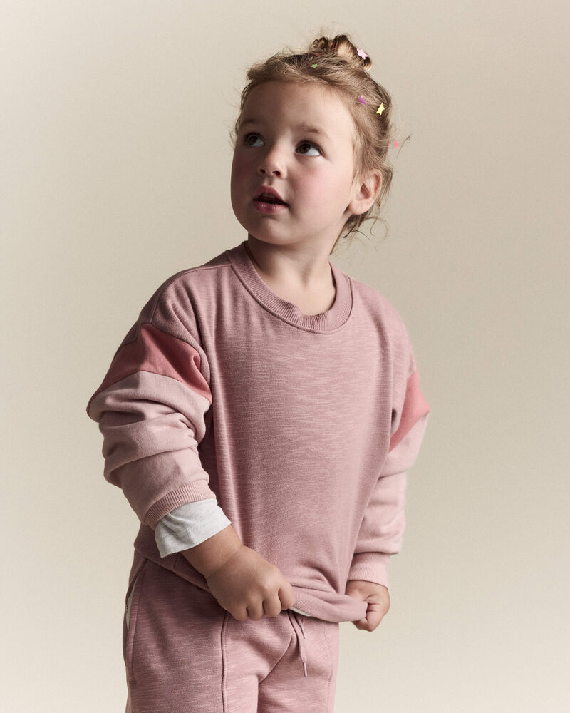 Toddler Girl Colourblock Dolman-Sleeve Sweatshirt - Mauve, image 1 of 6 slides