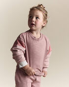 Toddler Girl Colourblock Dolman-Sleeve Sweatshirt - Mauve, image 1 of 6 slides