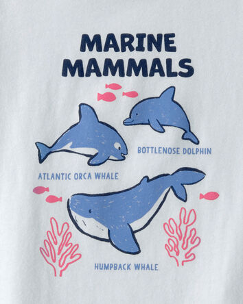 Toddler Dolphin Graphic Tee - Blue, 