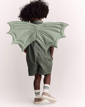 Toddler Boy Dragon Wings - Sage, 