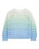 Blue Ombre