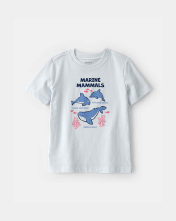 Toddler Dolphin Graphic Tee - Blue, 