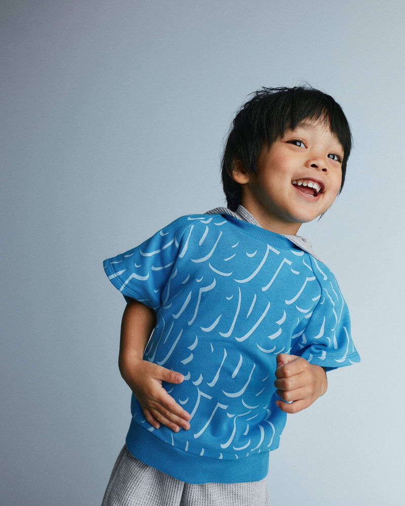 Toddler Raglan Tee in Otter Avenue Print - Turquoise, image 1 of 6 slides