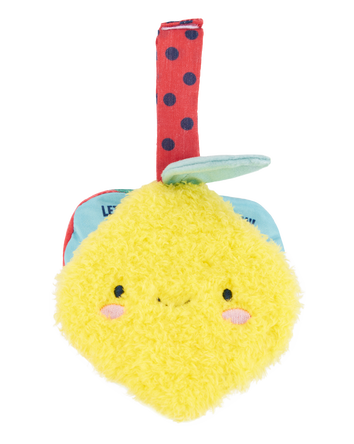 Livre en peluche sur les fruits et ensemble de jouets de dentition, 