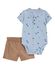 Blue/Brown