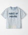 Blue Stripes