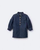 Toddler Girl Puff-Sleeve Denim Dress - Blue, image 6 of 8 slides